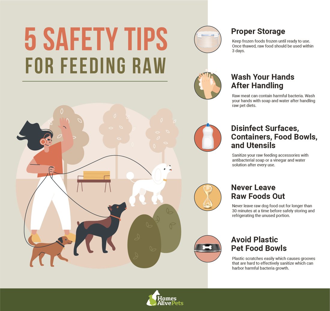 why-raw-feeding-is-bad-for-dogs